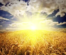 Jesus Christ in the Biblical Festivals