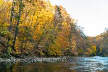 autumn colored trees standing behind a body of water