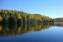 a lake with green trees beginning to turn into autumn colors