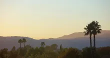 a rolling mountain landscape with trees