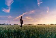A man standing in a wheat field looking at sunset.
