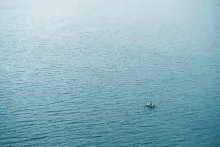 A tiny boat in a big sea of water.