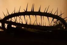 Uma coroa de espinhos.