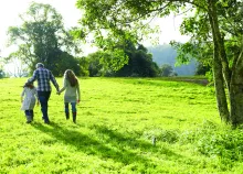 A family walking in a green pasture.