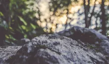 The top of a rock with sunlight and trees in the background.