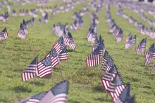 Small American flags stuck in the ground at a cemetery.
