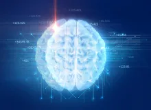 Illustration of brain with lines and numbers.