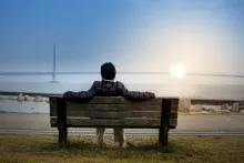 A person sitting on a bench overlooking a large bridge spanning a big body of water.