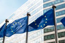 European Union flags