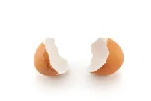 A cracked egg.