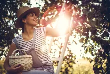 The Festivals of God