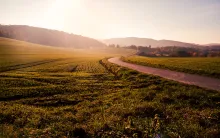 Um caminho sinuoso no campo.