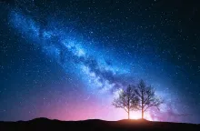 Trees with sun rays behind them.