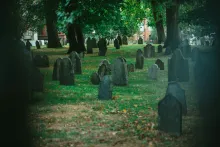 a green field filled with tombstones and shaded by trees
