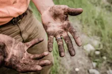 A man's dirty hands from working in the dirt.