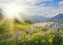 After the Chaos: the Times of Refreshing