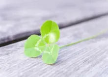 Do You Feel Lucky Today?