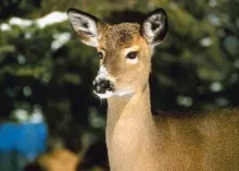 Giving, Receiving and Gratitude