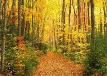 Happy Feast of Tabernacles from UCG.org!