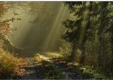 How Can We Find the Pathway to Peace?