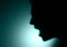 Shadow of person yelling.