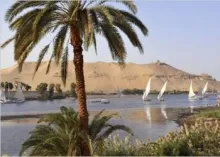 'No True Democracy Yet in Egypt': I'm Shocked!