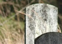 grave stones in field