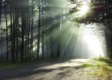 Planet Earth Will Survive and Flourish!