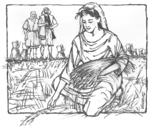 Illustration of Ruth picking grain.