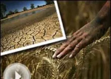 Rising Food Costs