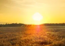 The Unseen Forces at Work in the World