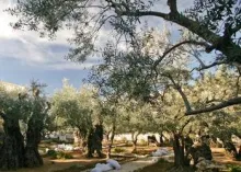 What Does it Mean that Jesus Learned Obedience?