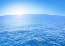 What's in Your Future?