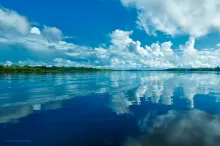 Demerara River