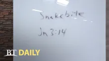 BT Daily: How to Cure a Snakebite
