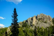 Custer State Park, South Dakota, USA
