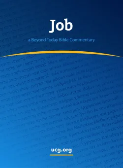 Job Bible Commentary