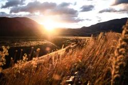 a landscape of rolling hills with the sun shining at the edge of the horizon and highlighting golden fields of grass beneath a cloudy sky