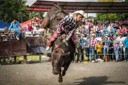 a man riding a bull in a rodeo with a crowd of people watching