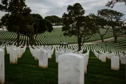 Cemetery tombstones.