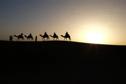 Men riding on camels.