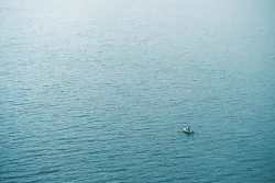 A tiny boat in a big sea of water.