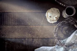 Dear Compass Check Spring 2020