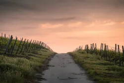 A path that disappears over the horizon unsure of where it will go or end.