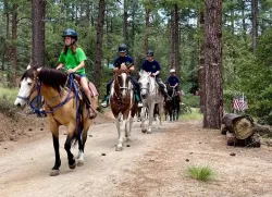 a group of girls riding horses in the woods