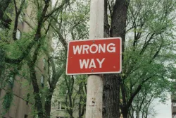 a wrong way sign on a post with green trees and buildings in the background