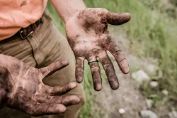 A man's dirty hands from working in the dirt.