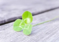 Do You Feel Lucky Today?