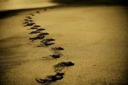 Footprints in sand.