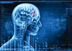 Digital images of brain